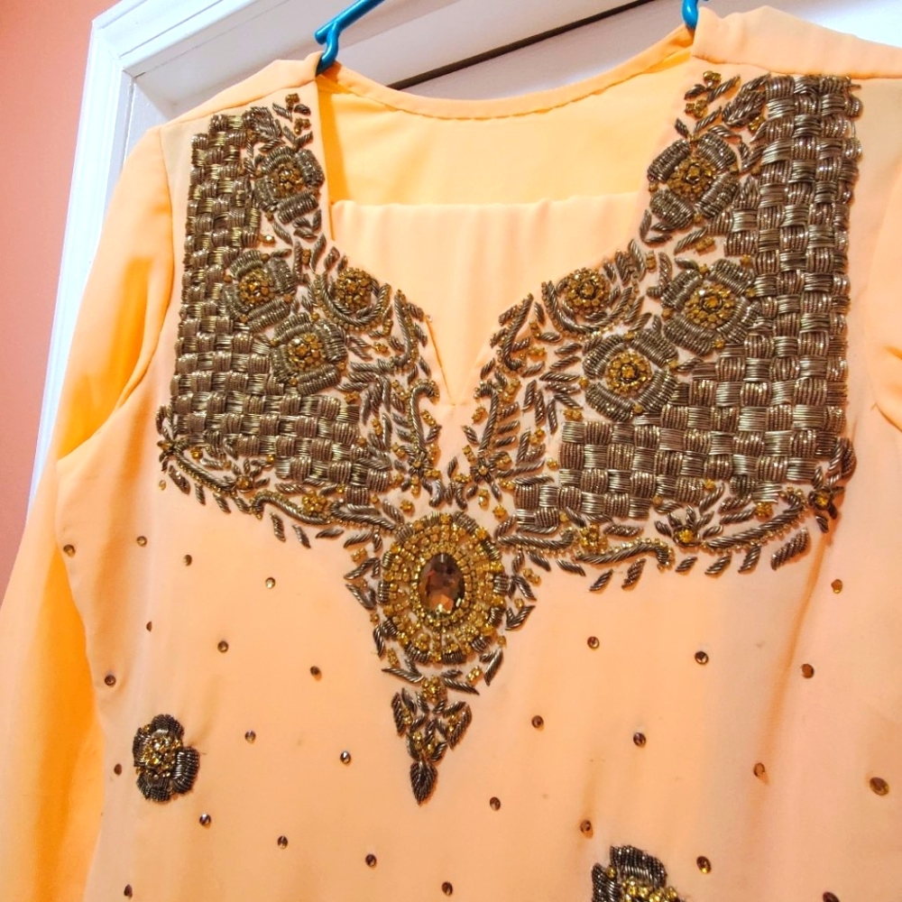 Pakistani Wedding wear/party wear